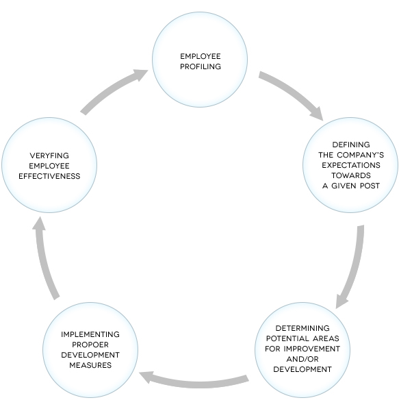The process of constant improvement